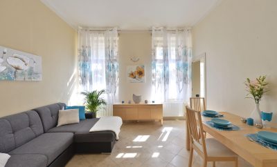 SUNNY APARTMENT WITH BEDROOM IN CENTRE